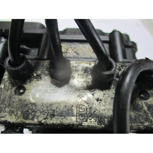 Fiat Scudo Peugeot Expert Citroen Jumpy ABS Beyni 0265800696 0265232065 1401109880