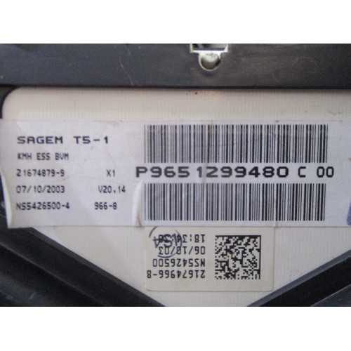 Peugeot 307 Benzinli Kilometre Saati Gösterge Paneli P9651299480C