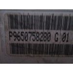 Citroen C4 Benzinli Kilometre Saati Gösterge Paneli P9650758280G