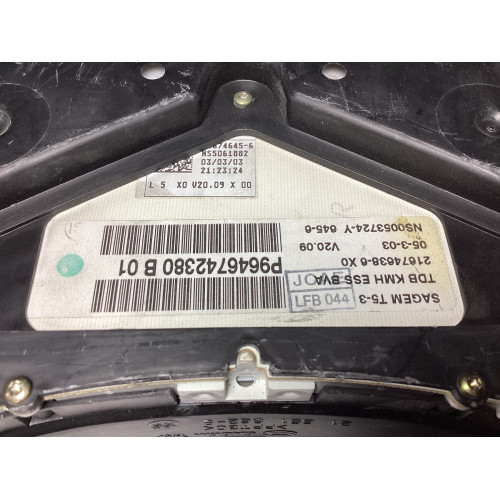 Peugeot 307 Kilometre Saati Gösterge Paneli P9646742380B 21674638-6
