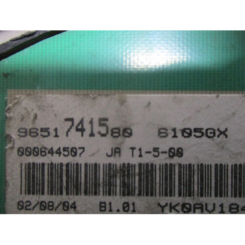 Peugeot 206 Benzinli Kilometre Saati Gösterge Paneli 9651741580