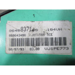 Peugeot 206 Benzinli Kilometre Saati Gösterge Paneli 9648837180