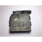 Citroen Peugeot 406 2.1 Motor Beyni 9627453880