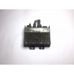 Renault Raguna Motor Beyni 7700107302
