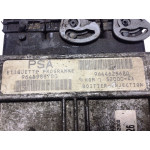 Peugeot 206 1.4 Motor Beyni 9646988780 9644625680