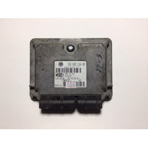 Seat Ibiza 1.4 Motor Beyni 036906034GM IAW4MV.GM