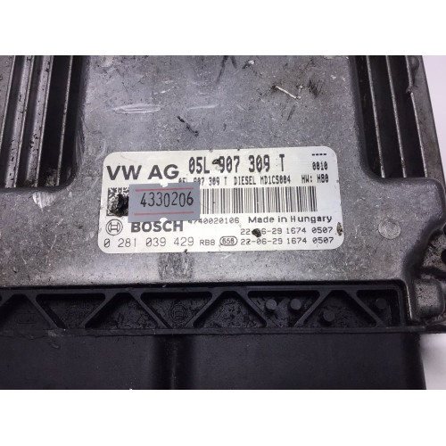 Audi A6 Motor Beyni 0281039429 05L907309T MD1CS004