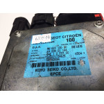 Citroen C3 1.4 Hidrolik Direksiyon Beyni 9662310080 6900001184