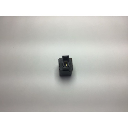 Nissan X-Trail Terrano Siyah Röle 2433009900