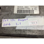 Peugeot 106 206 Motor Beyni Komple Seti IAW1AP.80 9639907780