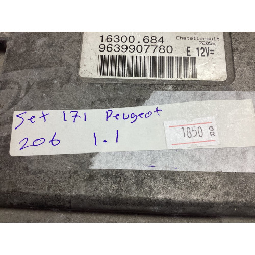 Peugeot 106 206 Motor Beyni Komple Seti IAW1AP.80 9639907780