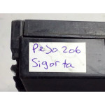 Peugeot 206 Sigorta Body Beyni