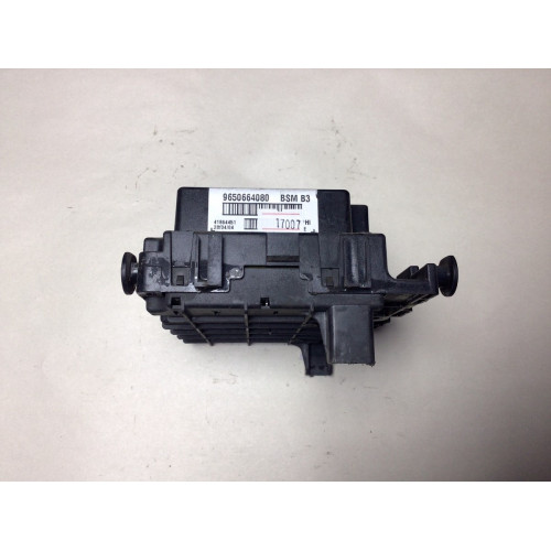 Peugeot 206 Sigorta Body Beyni 9650664080