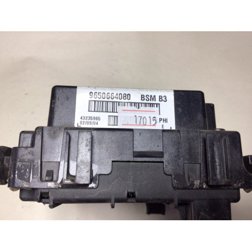 Peugeot 206 Sigorta Body Beyni 9650664080