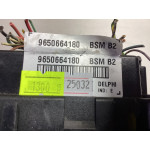 Peugeot 307 Sigorta Body Beyni 9650664180 BSM B2