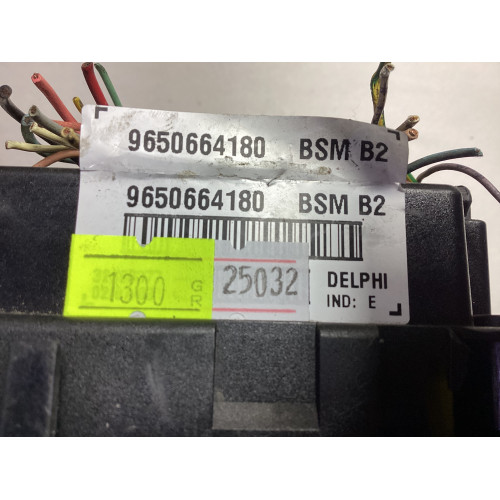 Peugeot 307 Sigorta Body Beyni 9650664180 BSM B2