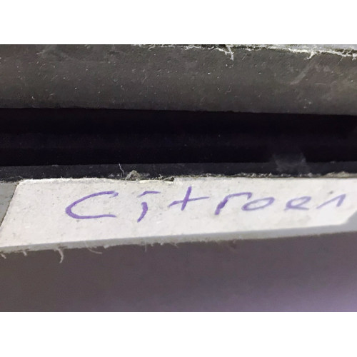 Citroen Sigorta Body Beyni