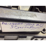 Peugeot 307 Sigorta Body Beyni
