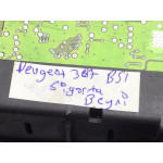 Peugeot 307 Sigorta Body Beyni